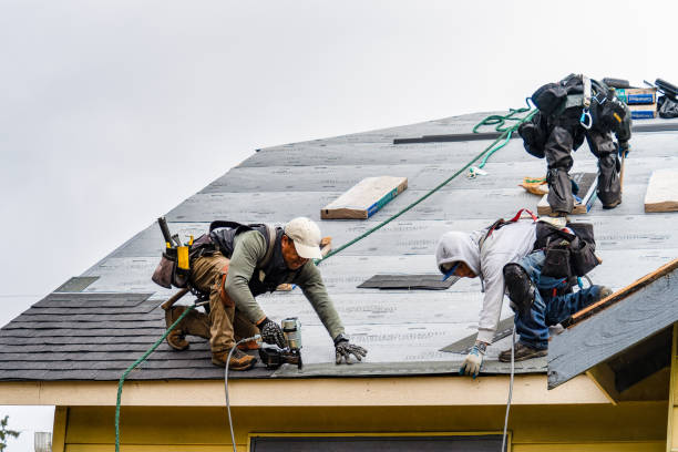 Professional Emergency Roof Repair technician working in La Rose, IL
